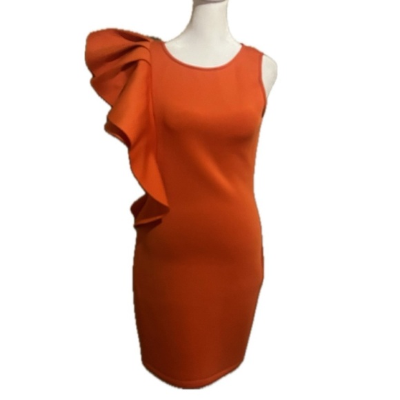 Voila One-Shoulder Ruffle Bodycon Dress / Small - Picture 4 of 6